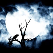 Immagini Halloween